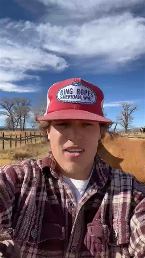 Buckskin Joe wasn’t feeling it #western #colorado #ranchin #horses #country #punchy #cowpoke #cowboy #longlivethewest #ranching #vaquero #buckaroo #wyoming #montana #colterwall #zachbryan #tyl #reels | Scary Snowman Media