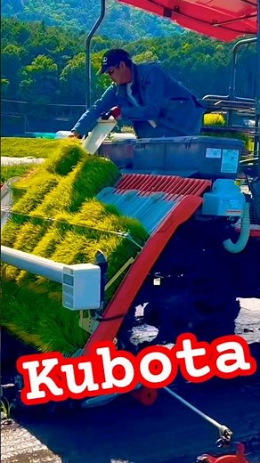 【Kubota】『NW8S GS 』Agriculture 8条植え 田植え機 早すぎる 田植え作業 #kubota #現代農業 #farming #agriculturelife #農業 #農家