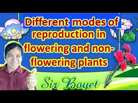 Science 5, Different Modes of reproduction in flowering and non-flowering plants.