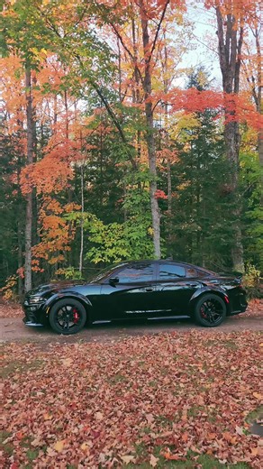 Fall in Wisconsin> #fall #wisconsincheck #fyp #trending #dodge #charger #srt #hellcat #widebody #hemi #mopar #thebirdhousecarclub