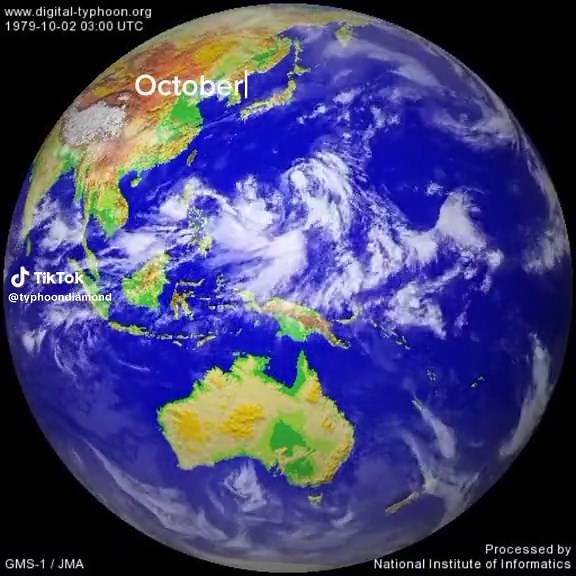 Super Typhoon Tip & Typhoon Sarah: A 1979 Overview