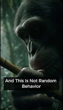 Chimpanzee Intelligence – Why Humans Fear Their Minds