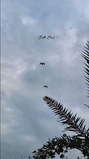 darkhast 💗🥰 #song