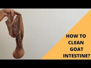 How to Clean Goat Intestine? | A Super Easy Method
