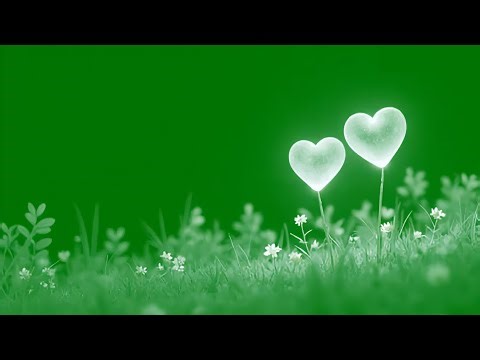 Beautiful love green screen | Valentine’s day editing video