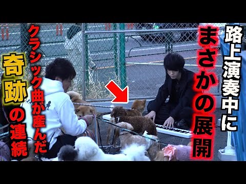 路上で世界一癒されるといわれるクラシック曲を弾いたら…【ストリートピアノ】