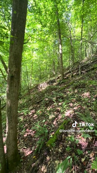 Hunting Adventures with Tatcha and Mathews Archery