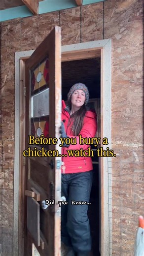 Did you know that the State of Alaska will perform a necropsy on your chicken, free of charge? One of our girls passed last week, and we had no idea why. We dropped her off in Anchorage and had answers the same day. Thankfully for us, it was a case of egg yolk peritonitis, and the rest of our flock should rest easy. If you find yourself with a dead bird, give the state vet a call. Their number is 907-375-8215. They’ll walk you through next steps and answer any questions you may have. It’s so sad