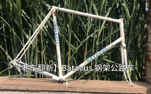 【老车翻新】Batavus 钢架公路车