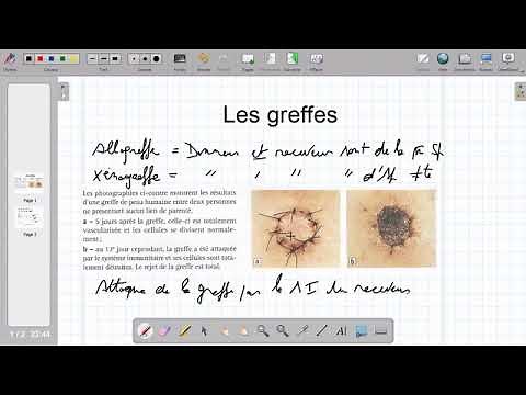 Les greffes et le HLA expliqué simplement