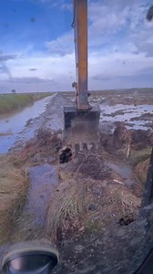 38K views · 799 reactions | skills in making embankments in swampy areas #vod #viral #fyp #alatberat | L Rizki | Facebook
