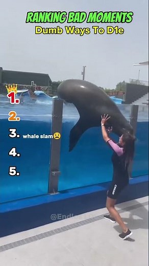 Ranking the Dumbest Fails Ever Caught on Camera 😂