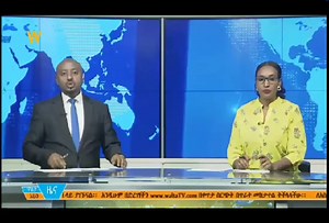 WMCC - Walta tv news