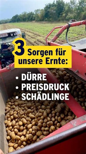 Als wären Dürre und Preisdruck nicht schon Herausforderung genug. ☀️😥