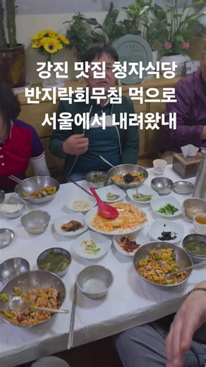 강진맛집 청자식당 반지락회무침 먹으로 서울에서 내려왔네 #맛집 #맛집소개유투버 #food #유튜버 #강진맛집 #청자식당 #travel
