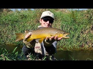 Autumn Hopper and Cricket Fly-Fishing in the Driftless