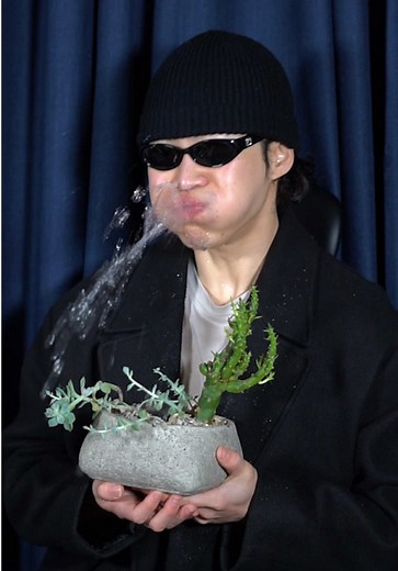 Try Not to Laugh Challenge 92: Hilarious Moments