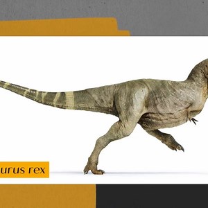 Nat Geo Explores: Why the Dinosaurs’ Extinction is an Ongoing Puzzle