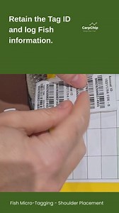 How to Tag Carp – Step-by-Step Guide 🎣 Fish tagging helps you understand your fish — not just protect them. Many lake owners still assume tagging is only about theft prevention. But the real value is something far more important: ✔ Knowing exactly what’s in your lake ✔ Tracking individual fish growth ✔ Seeing when a fish was last out ✔ Building one clear, reliable stock record In this video we show: • How the micro tag is inserted • What equipment is used and how to capture ID on a Tracker • Ho
