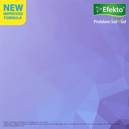 Tired of battling stubborn weeds in your lawn? 🌿 Efekto Turfweeder makes it easy to take control. Fast, effective and safe for your grass. • Eliminates broadleaf weeds from the root up. • Gentle on your lawn, tough on weeds. • Fast-acting and rainproof within 2 hours. • Visible improvement in just 24 hours. Give weeds the boot and let your lawn thrive: efekto.co.za/product/efekto-turfweeder-apm/ | Efekto Garden & Home Protection