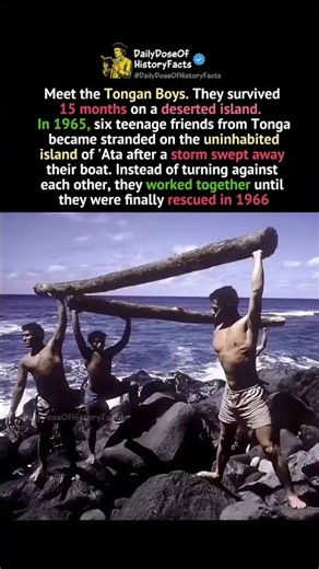 They Survived 15 Months on a Deserted Island