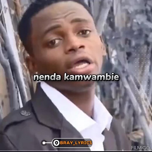 Diamond Platnumz: Nenda Kamwambie Lyrics