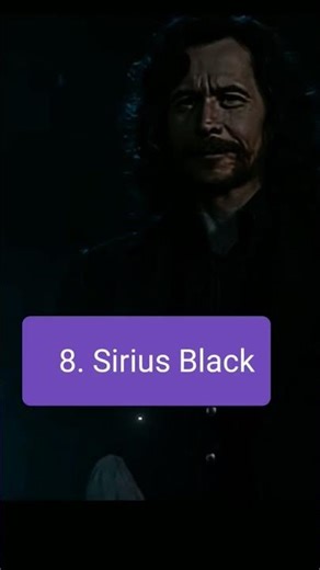 TOP 10 VIZARD IN HARRY POTTER #fyp #harrypotter #vizard #viralvideo