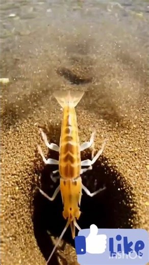 AI Video Lab India , AI video, viral shorts , YouTube shorts , Ai video creation , Ai tools,