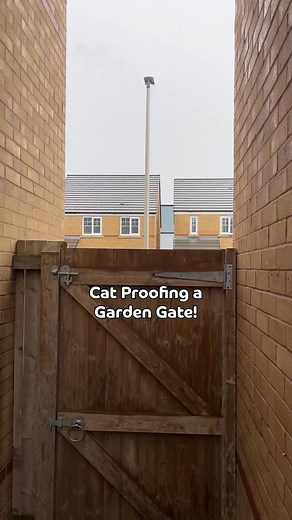 Here’s how to cat proof your garden gate to stop your cats from jumping up and escaping! 😻 #catproofgarden #catfencing | ProtectaPet
