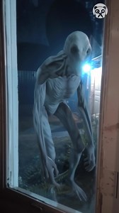 Spooky alien caught on camera - AI video | Street Belle Fashion