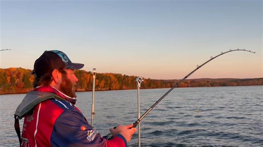 Al Fairfield on Reels