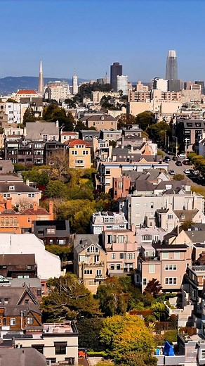 San Francisco is known for its unique and varied hills, with some of the most famous including Nob Hill, Russian Hill, Telegraph Hill, and Twin Peaks. These hills not only offer stunning views of the city and surrounding areas but also form the foundation for distinctive neighborhoods and historical landmarks. #sanfranciso #hills #views #landmark #city | Memories in a Shot