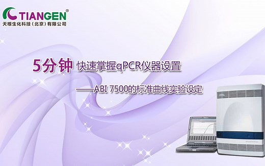 ABI 7500的标准曲线实验设定.mp4
