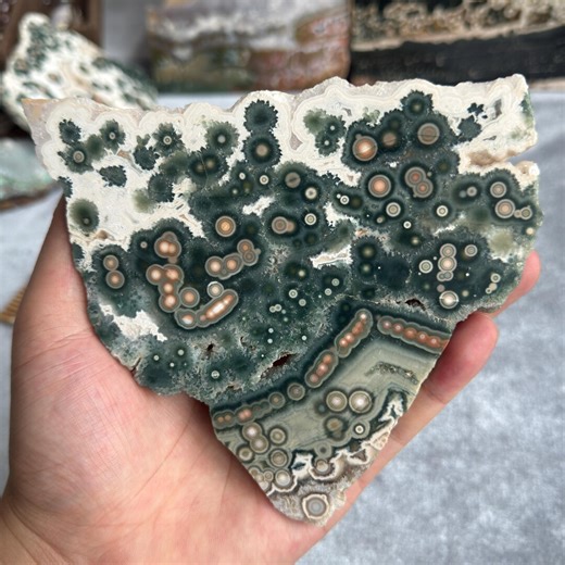 Ocean Jasper Slab Madagascar Polished Orbicular Display Specimen Crystal Decor - Etsy