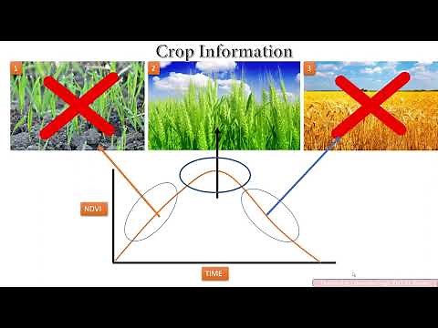 Selection of Best NDVI for Crop Yield Modelling in GIS