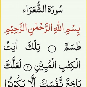 141K views · 12K reactions | surah shurah full | Online Quran Learning | Facebook