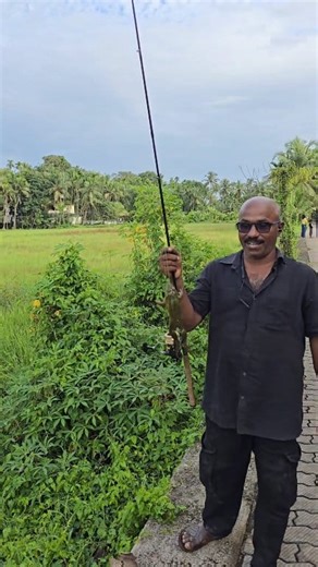 ഇത് എന്താ ഇവന് പ്രാന്താണോ,? 🤣🤣🤣 #fish #fishing #fishingmalayalam | Real Life Anglers