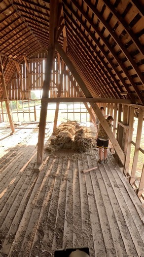 Here's the crew working on part of the big hay loft in the barn we are working on right now! What's neat about this flooring isn't just that it's shiplap, but many of the boards measure 20 feet long! #reclaimedwood #woodworking #barn #family #business | Tyler Christman