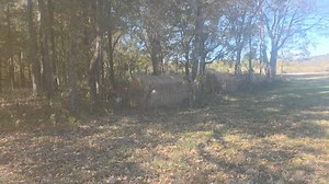 Cold fronts here and we are installing Self-Guided blinds in some of the areas we are hunting this first season Self-Guided. Dates available!!!!!!!!!!!!! Www.arcountyguideservice.com | Arkansas County Duck Guide Service