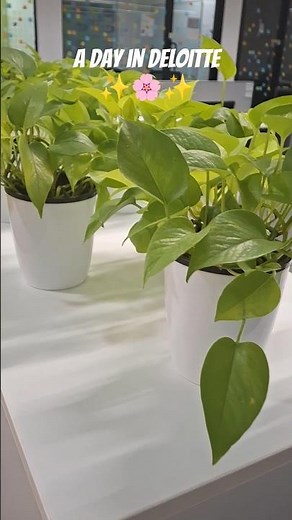 Reality of working at Deloitte | Corporate Life India #deloitte #corporatelife #minivlog #tech #code