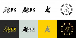 Apex Ancillary - Carlos "Maxi" Brufau