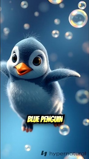 What is the largest species of penguin?