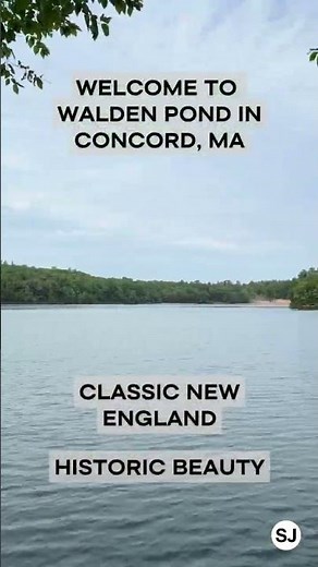 Walden Pond, Concord, MA | Suburban Jungle
