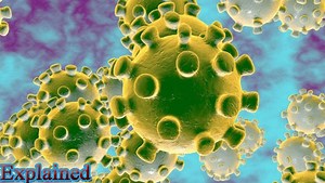 Explained: What is the new coronavirus strains? How worried should we be?