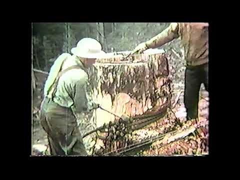 “Logging Operations ” 1950’s vintage lumberjack & lumber industry safety film