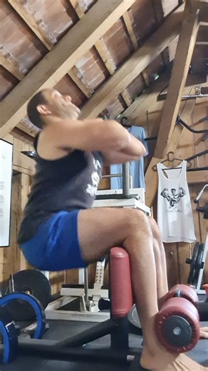 Golden Era Bookworm on Instagram: "Roman Chair Squats Summer 2025. When done properly, this exercise fries your quads completely. Most people come up and down like a normal squat which removes tension off the quads. Leaning backwards at a 45 degree angle as you rise keeps the tension on the quads. Further, placing your feet in front of your shins encourages greater tension. I usually perform these after Squats or Leg Presses and that's it for quads...they are cooked. By the way, these are incorr