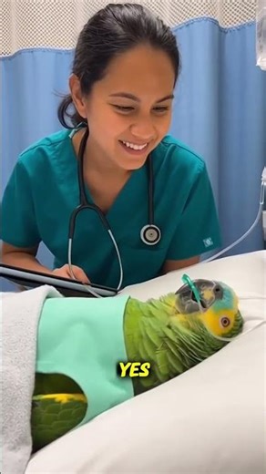 Funny Parrot🦜