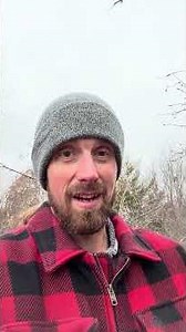 Savage 17 hmr claims another coyote