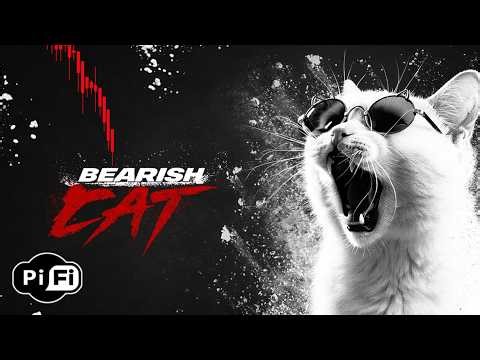 Pi-Fi - Bearish Cat