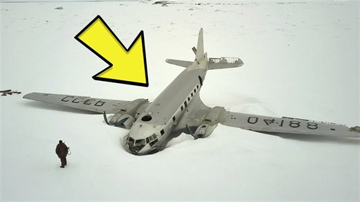 Scientists Found a Plane Buried in Arctic Ice — What They Discovered Inside Shocked Everyone